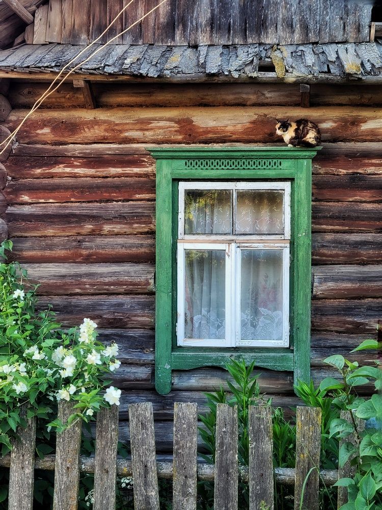 Photograph by Алина