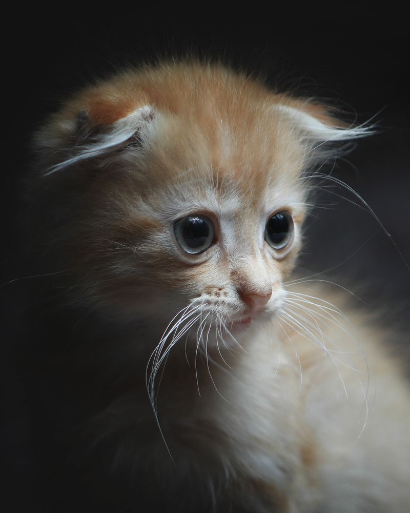 Photograph by Юлианна Митрофанова