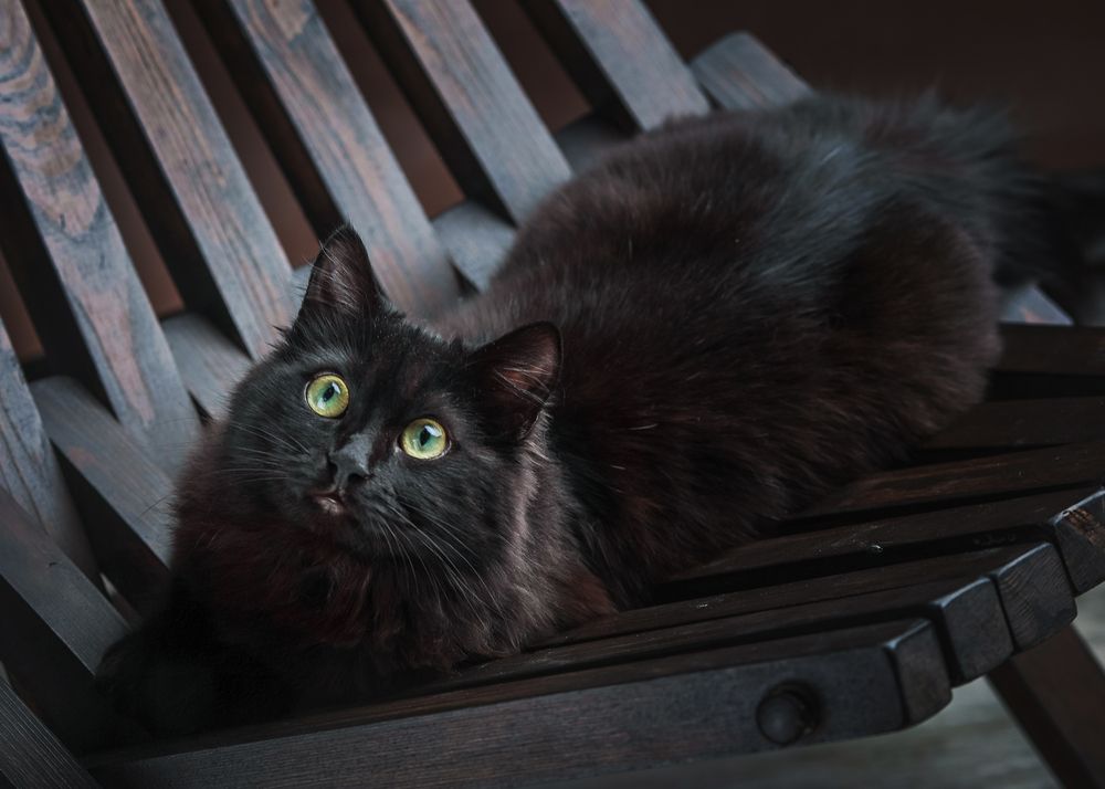 Photograph by Юлианна Митрофанова