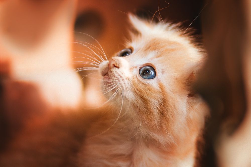 Photograph by Юлианна Митрофанова