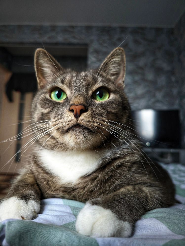 Photograph by Кирилл Сидоров