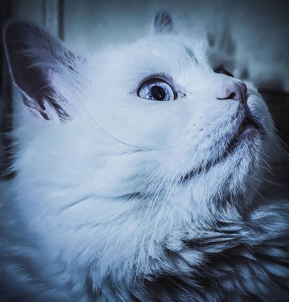 Photograph by Prima Warda