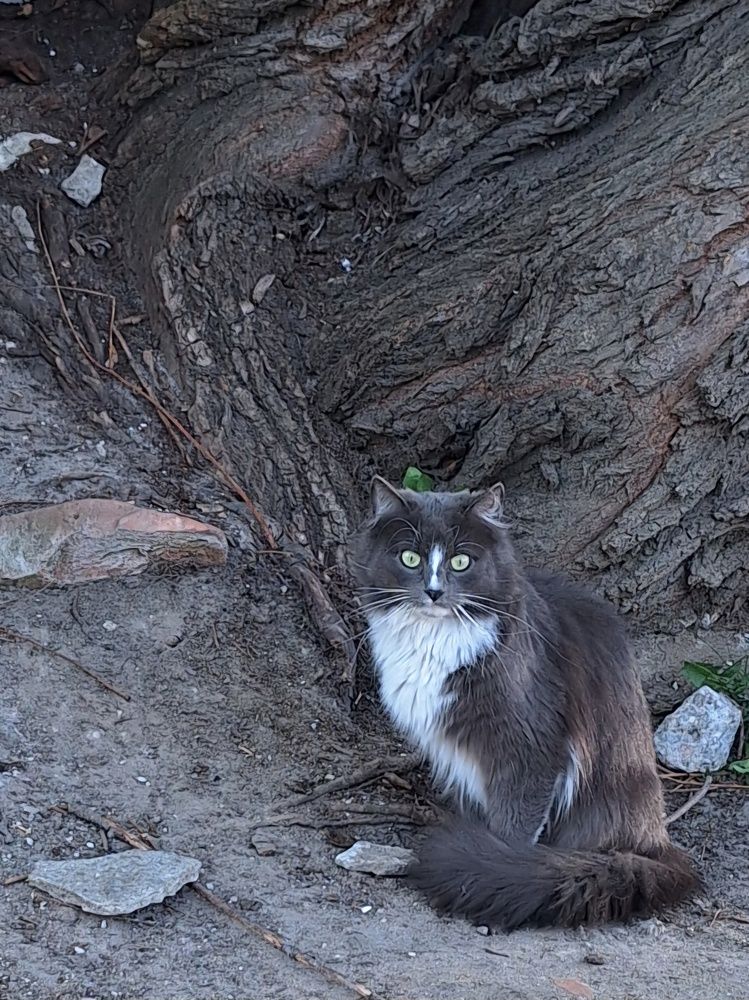 Photograph by Дина Темницкая