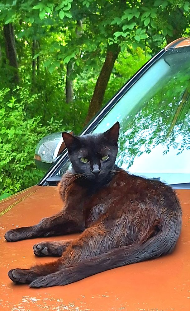 Photograph by Дина Темницкая