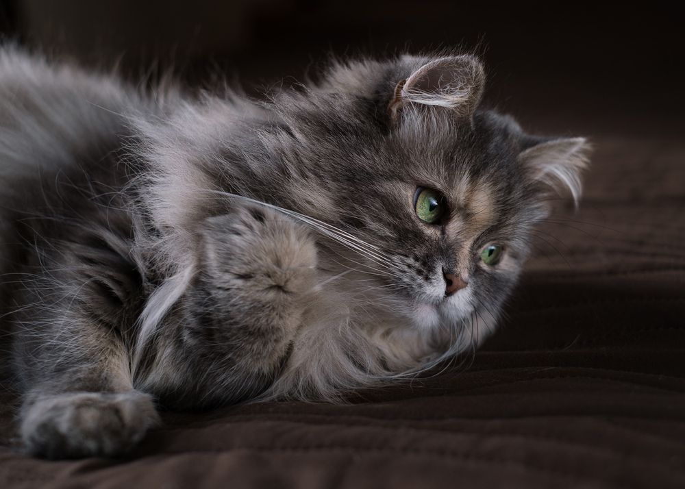 Photograph by Светлана Михеева