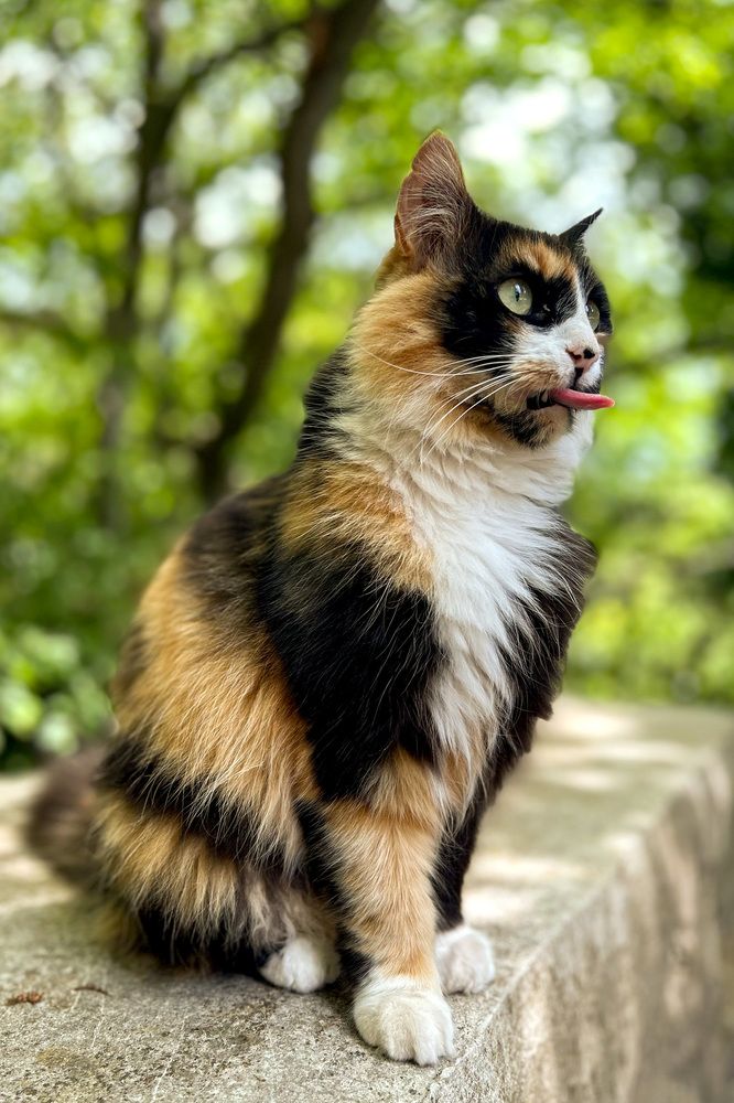 Photograph by Olga Smirnova