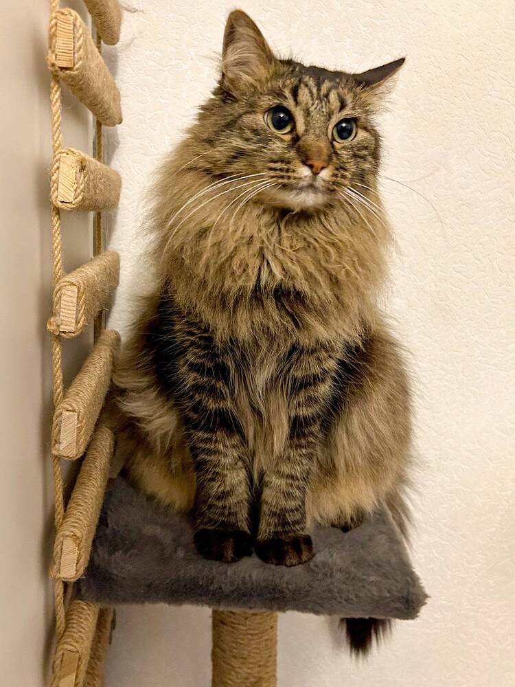 Photograph by Olga Smirnova