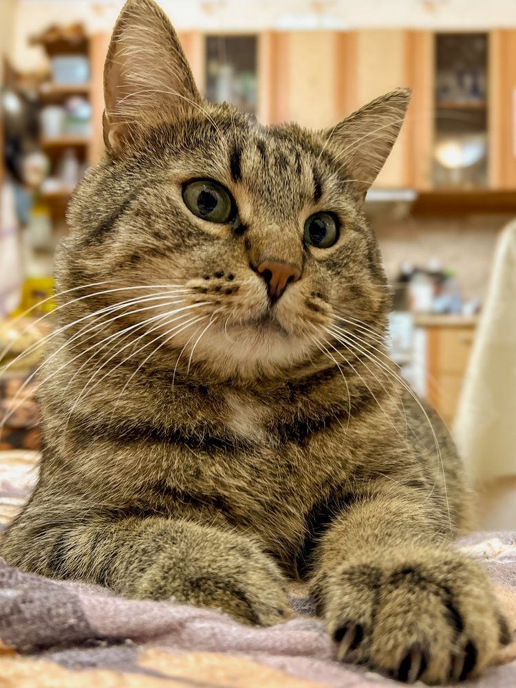 Photograph by Olga Smirnova