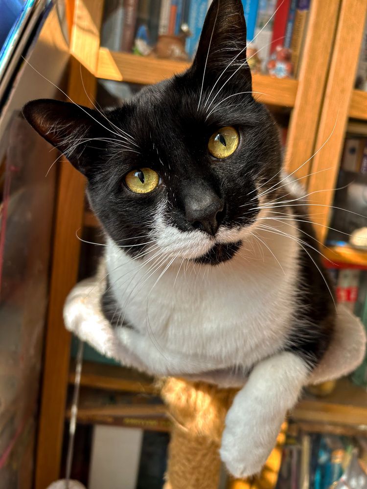 Photograph by Olga Smirnova