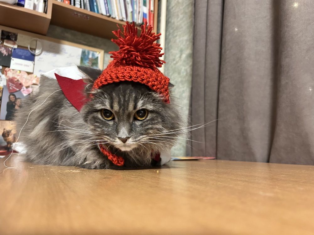 Photograph by Татьяна Дубовицкая