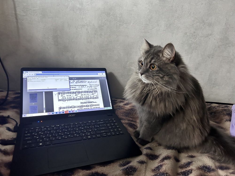 Photograph by Татьяна Дубовицкая