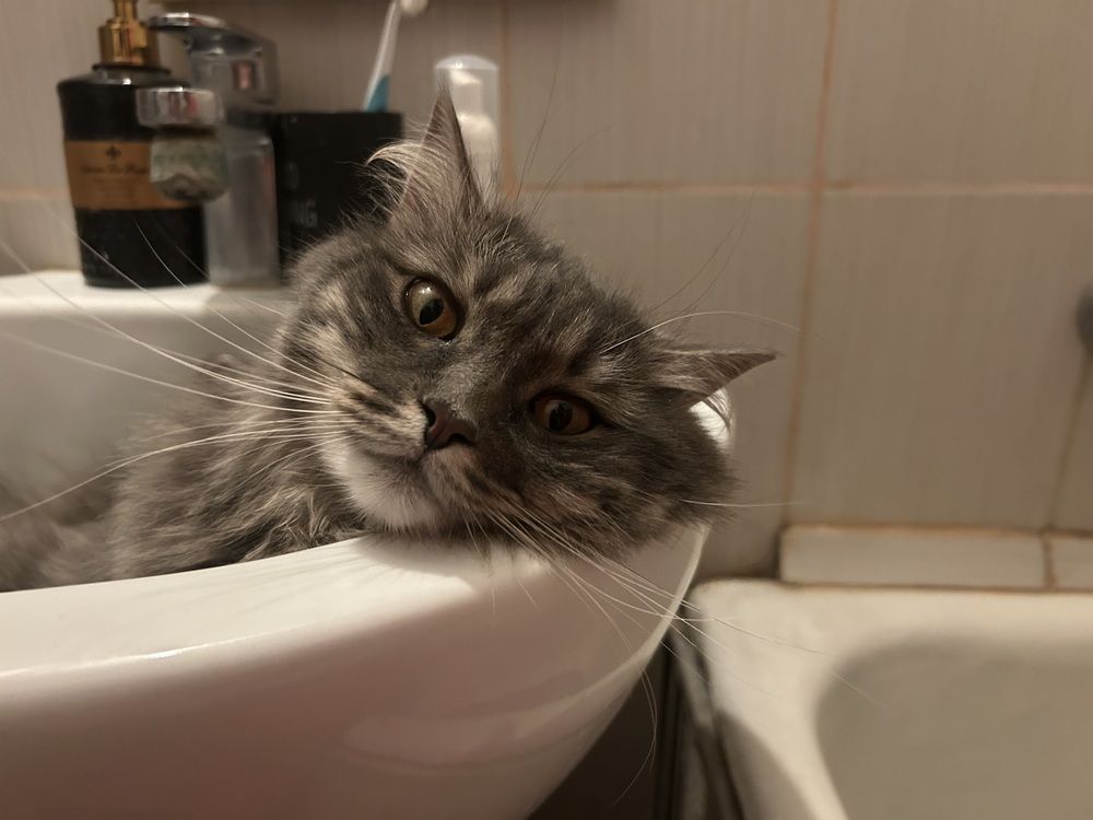 Photograph by Татьяна Дубовицкая