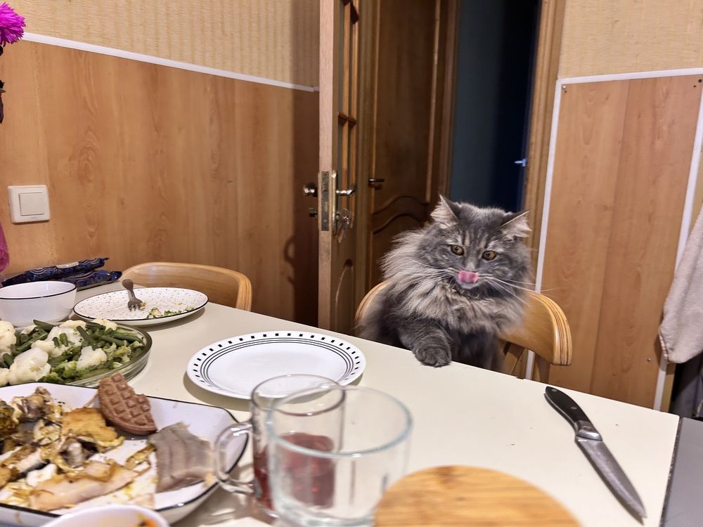 Photograph by Татьяна Дубовицкая