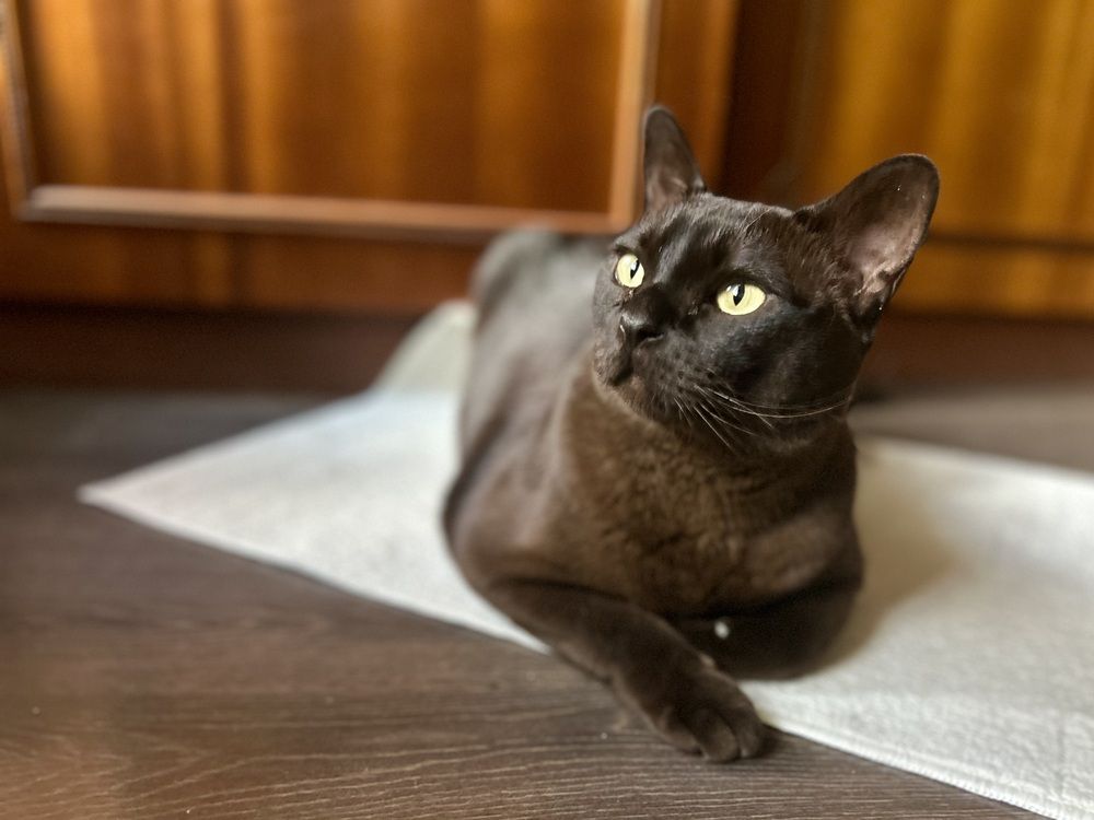 Photograph by Татьяна Дубовицкая