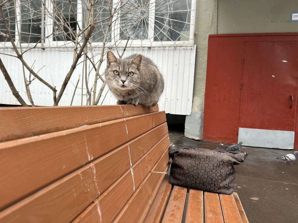 Photograph by Татьяна Дубовицкая