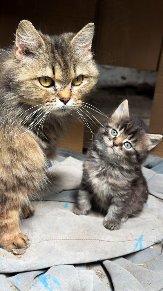 Photograph by Анастасия Волошина