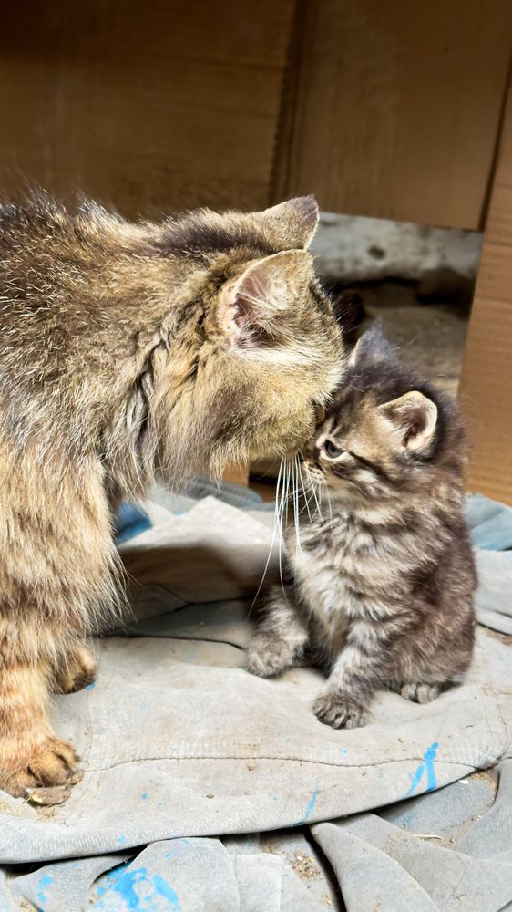 Photograph by Анастасия Волошина