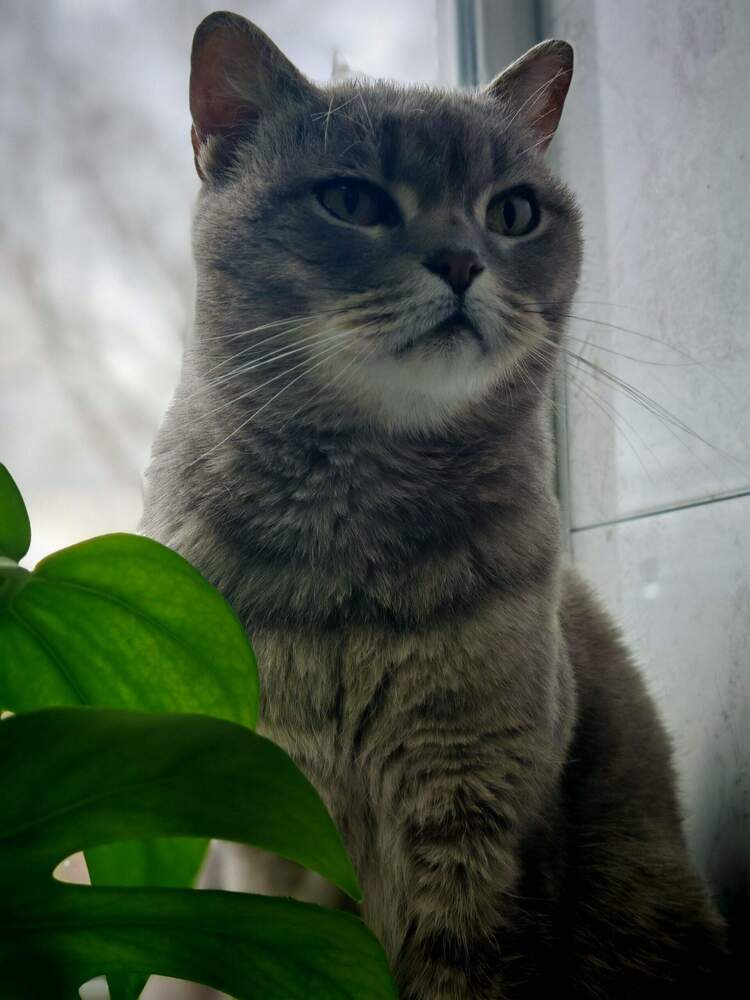 Photograph by Наталья Сидорова