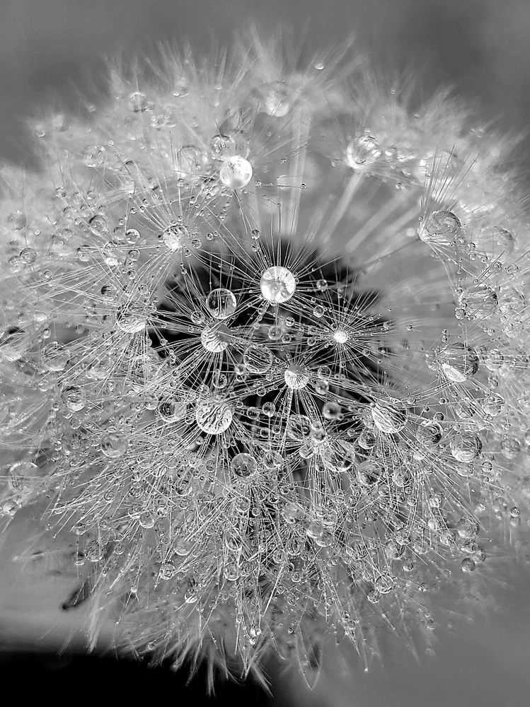 Photograph by Егор Жук