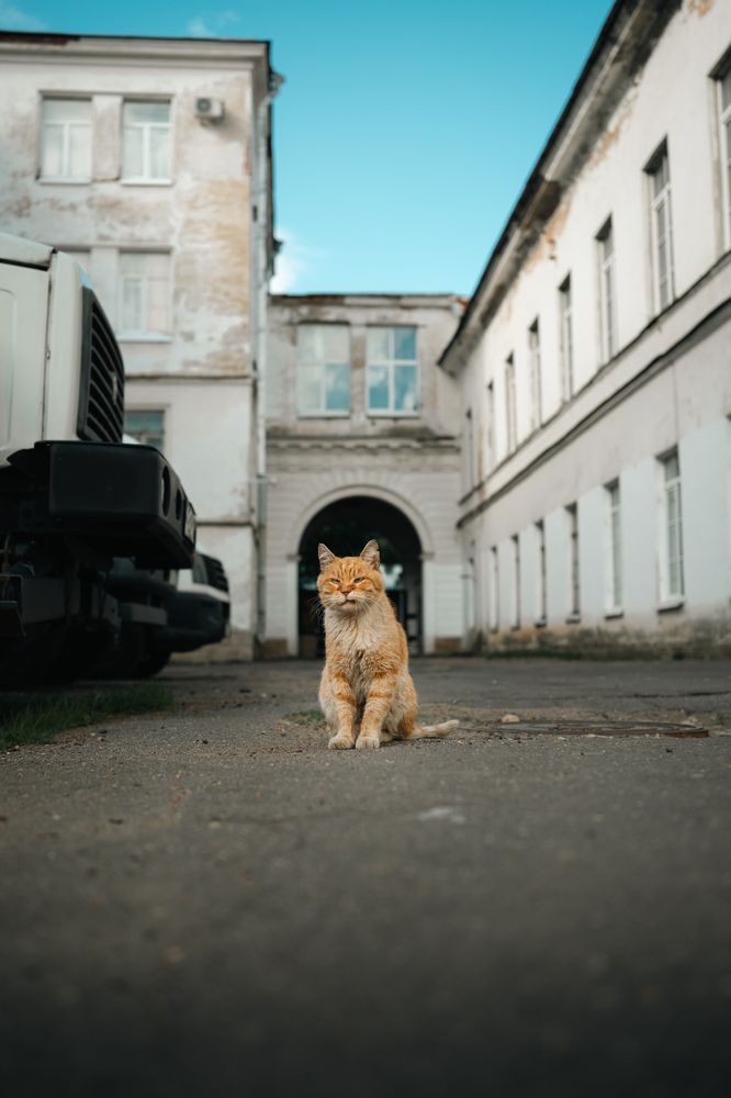 Photograph by  Максим П.