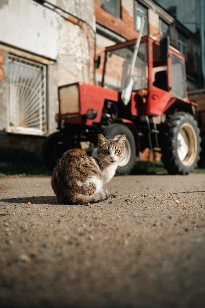 Photograph by  Максим П.