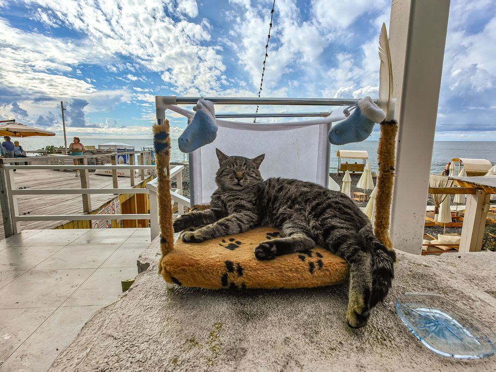 Photograph by Евгений Симион