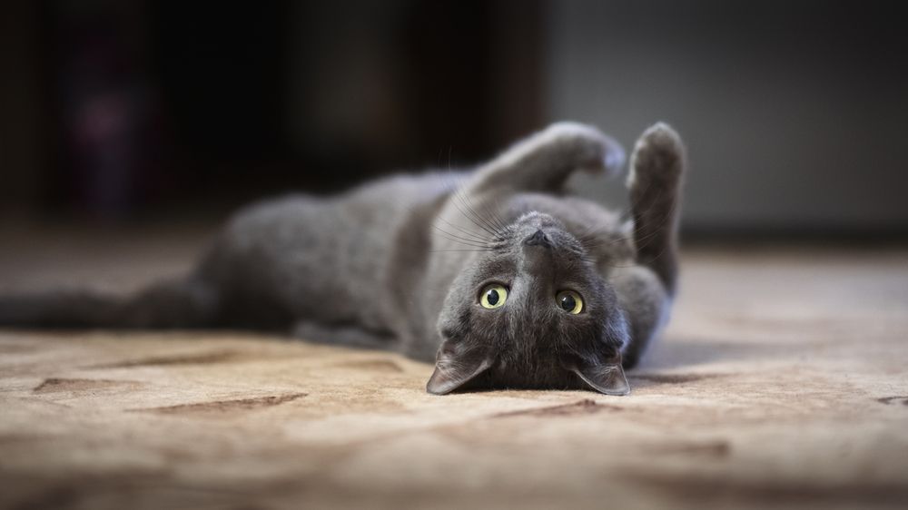 Photograph by  Максим П.