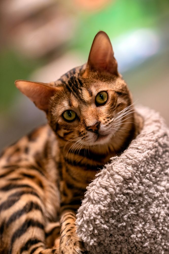 Photograph by Сергей Газизов