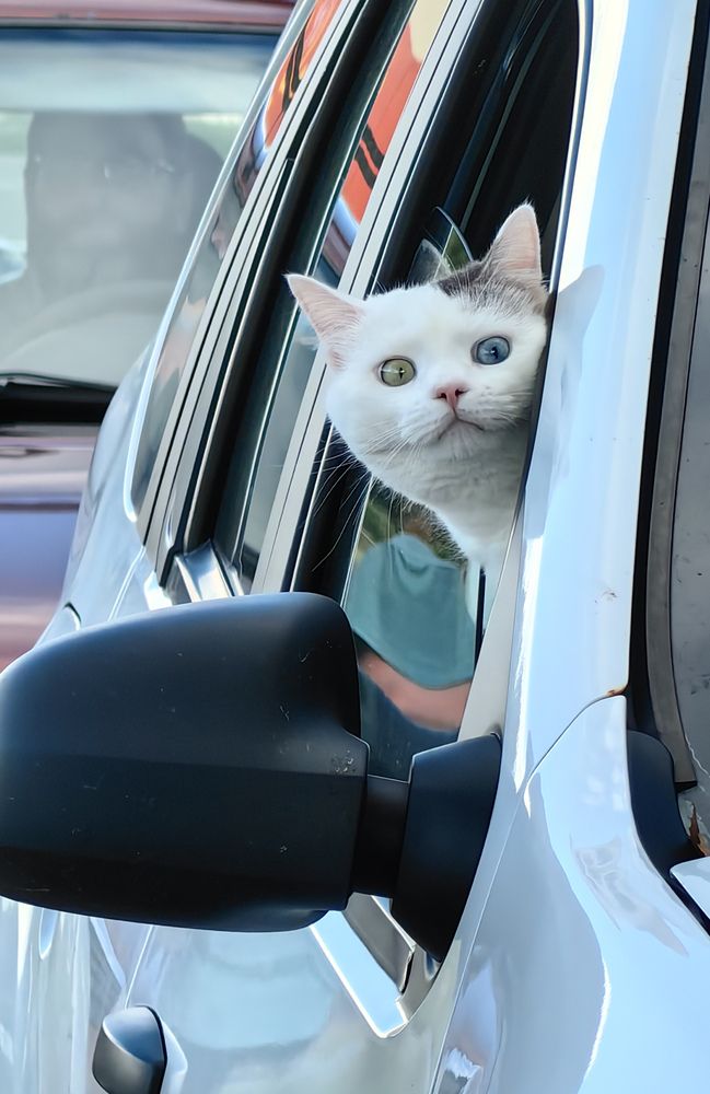 Photograph by Евгений Симион