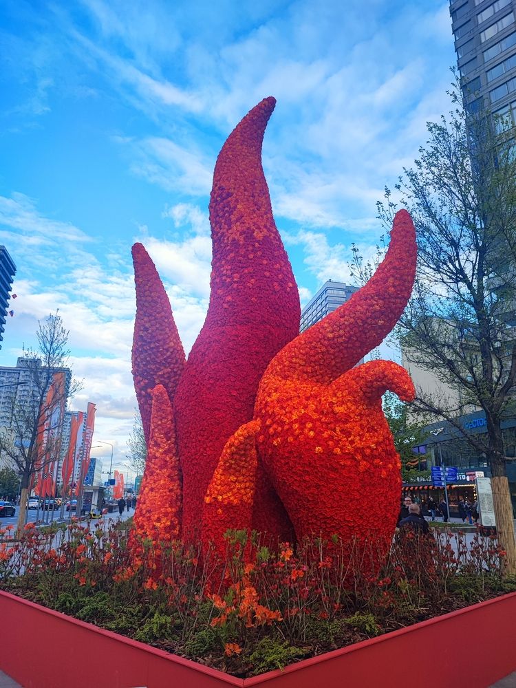 Photograph by Елена Шоколенко