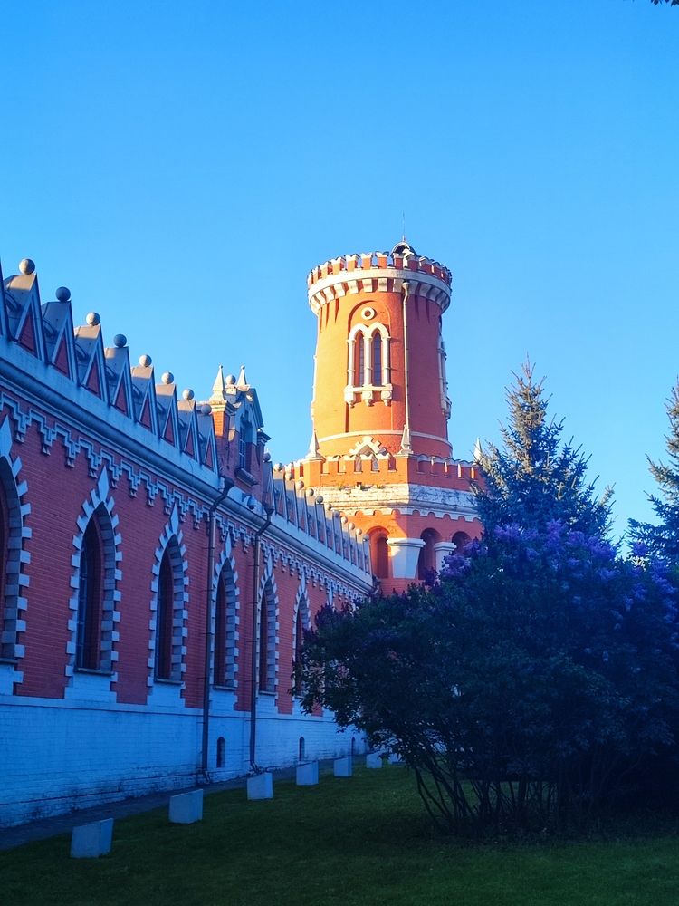 Photograph by Елена Шоколенко