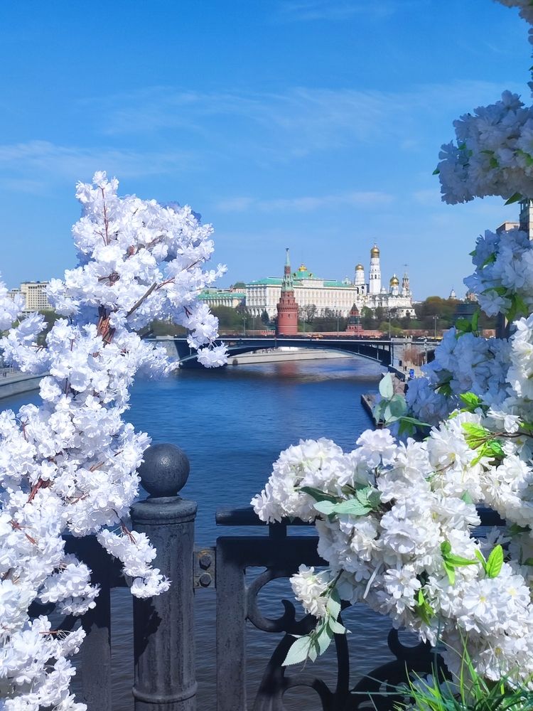 Photograph by Елена Шоколенко