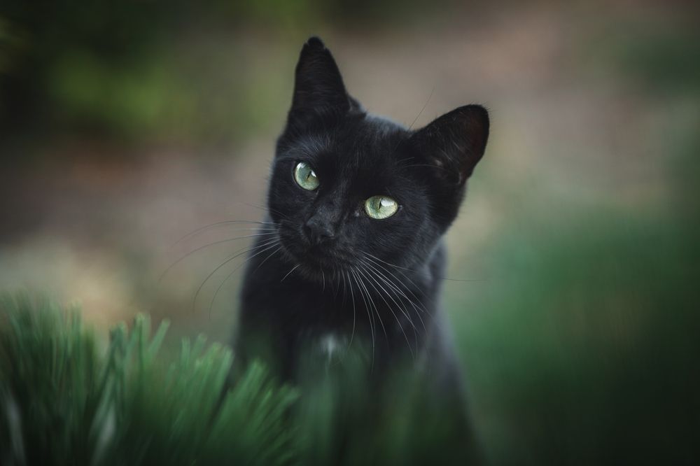 Photograph by Юлианна Митрофанова