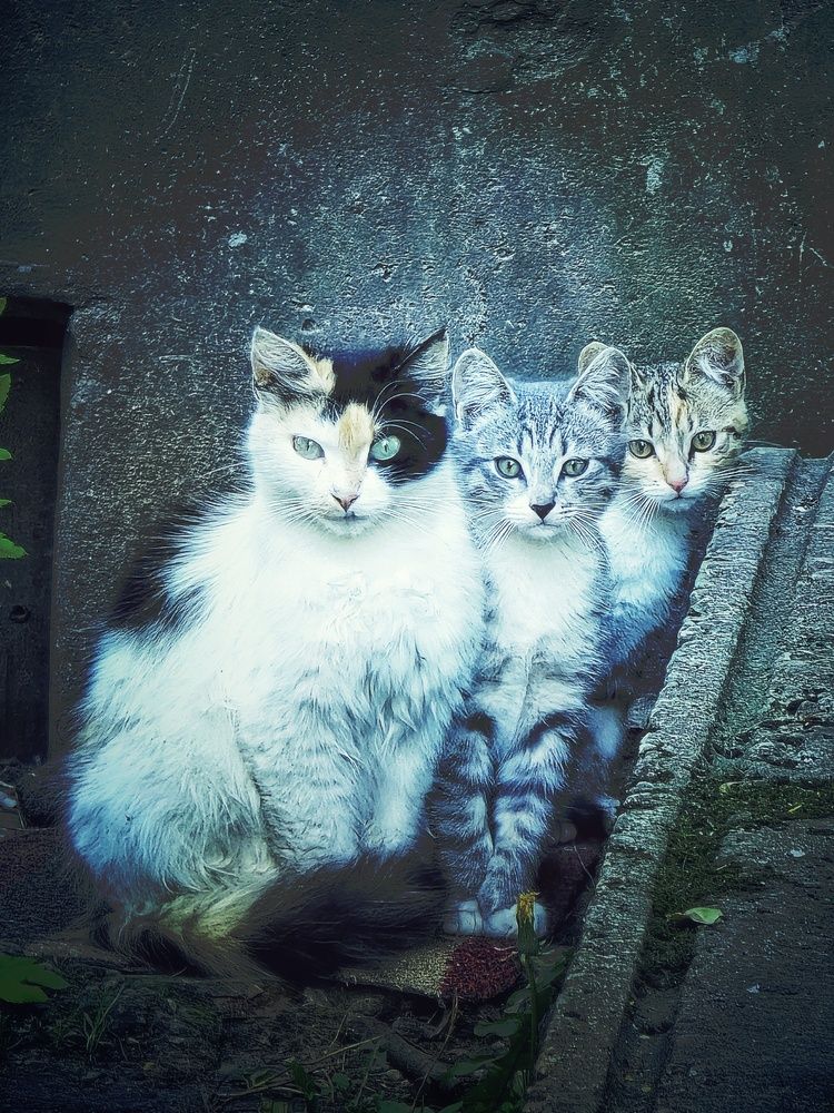 Photograph by Ирина Хлебникова