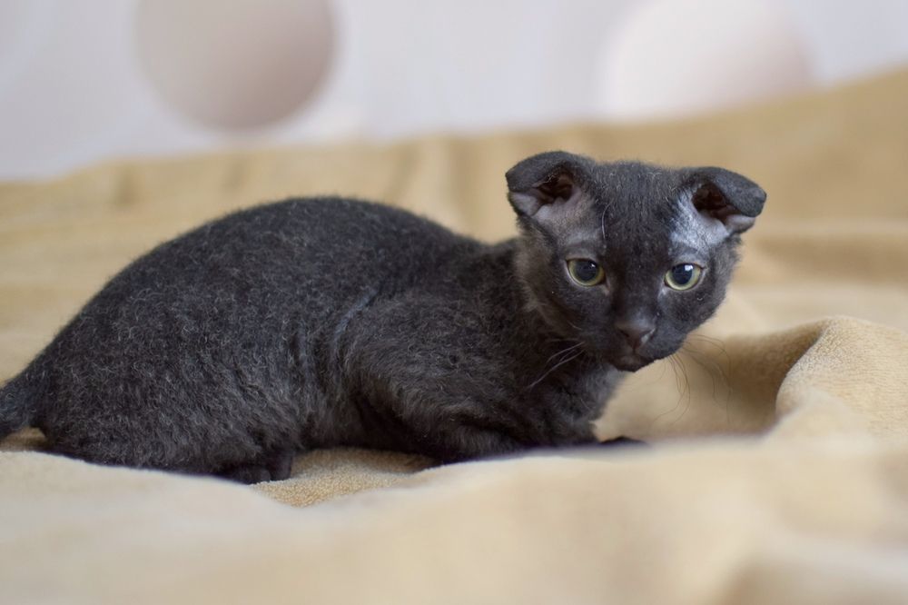 Фотография автора Альбина Хвастунова