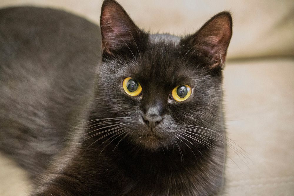 Photograph by Ольга Самылкина