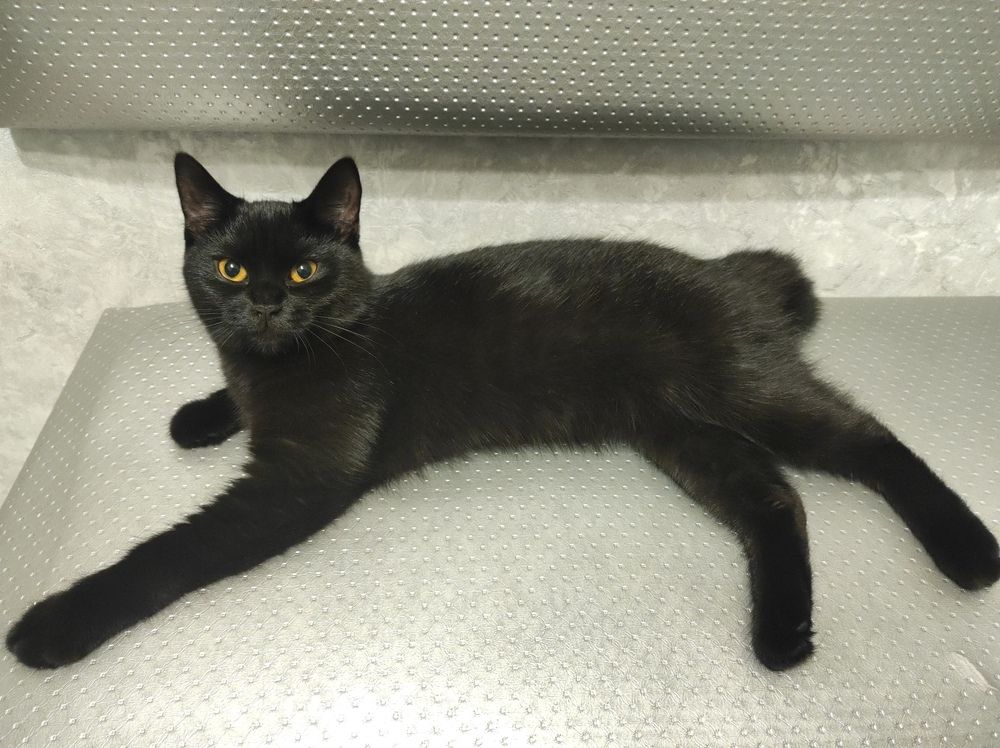 Photograph by Ольга Самылкина