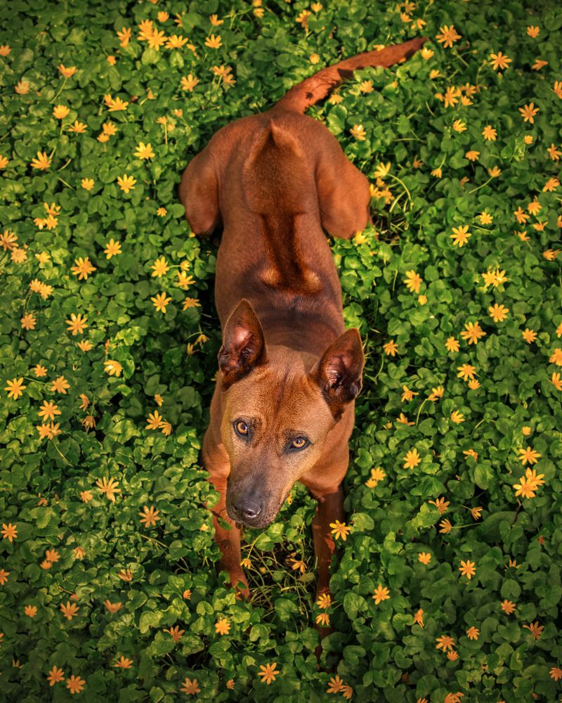 Фотография автора Sofiia Lapta