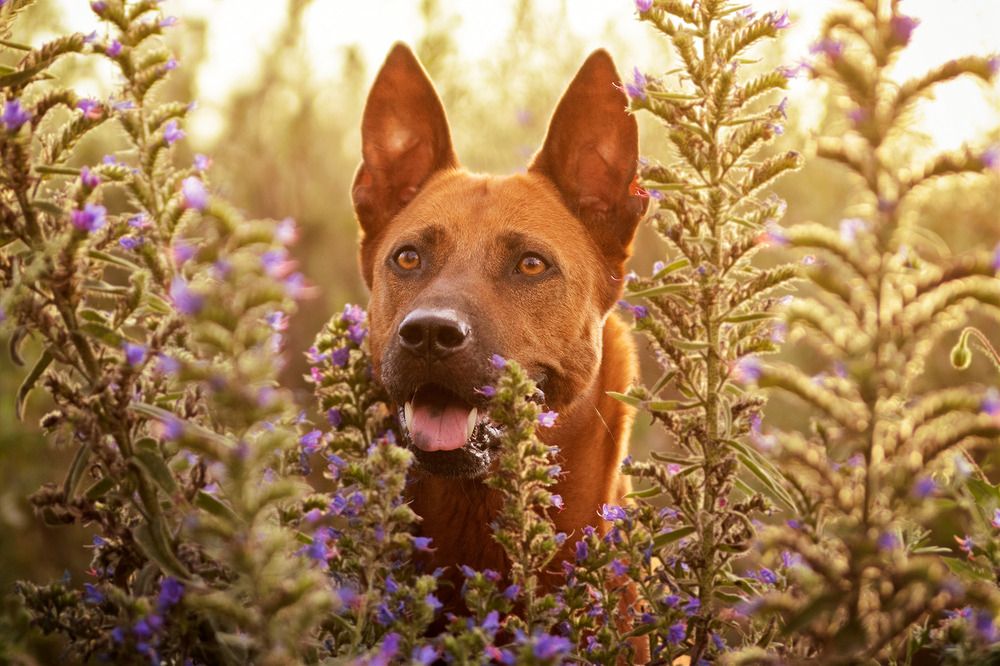 Фотография автора Sofiia Lapta