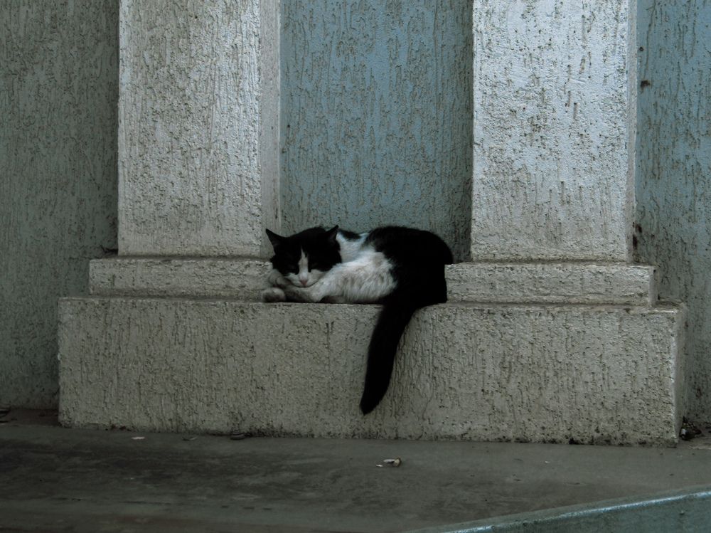 Photograph by Илья Шевченко
