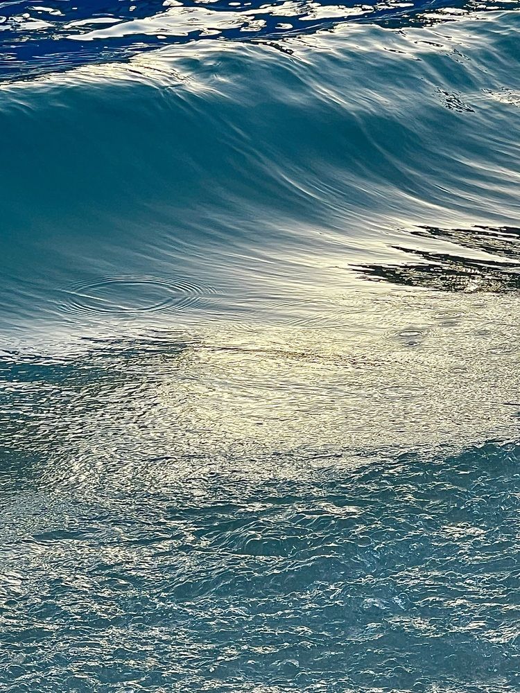 Photograph by Табунова Клавдия