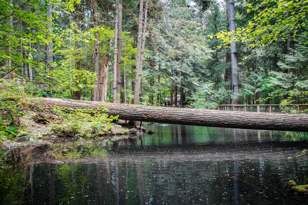 Photograph by Anastasiya Arkin