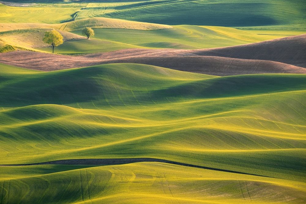 Green and Yellow rolling hills