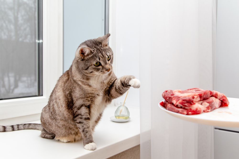 Photograph by Семенов Александр