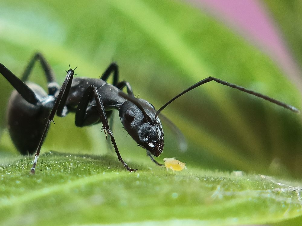 Love needs no words — even the tiniest hearts know how to care.