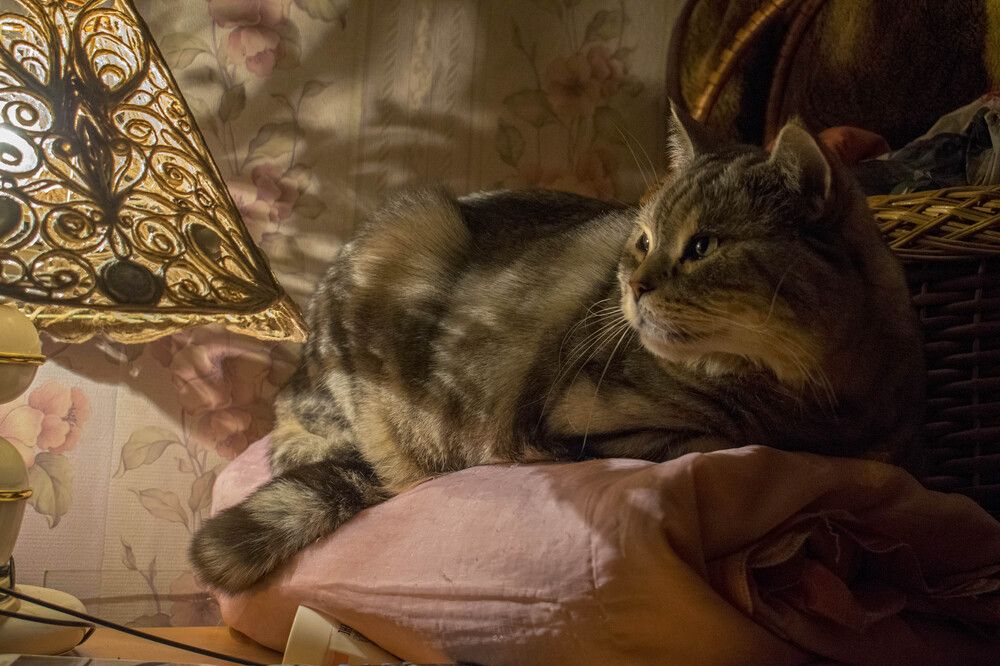 Photograph by Alexandere1