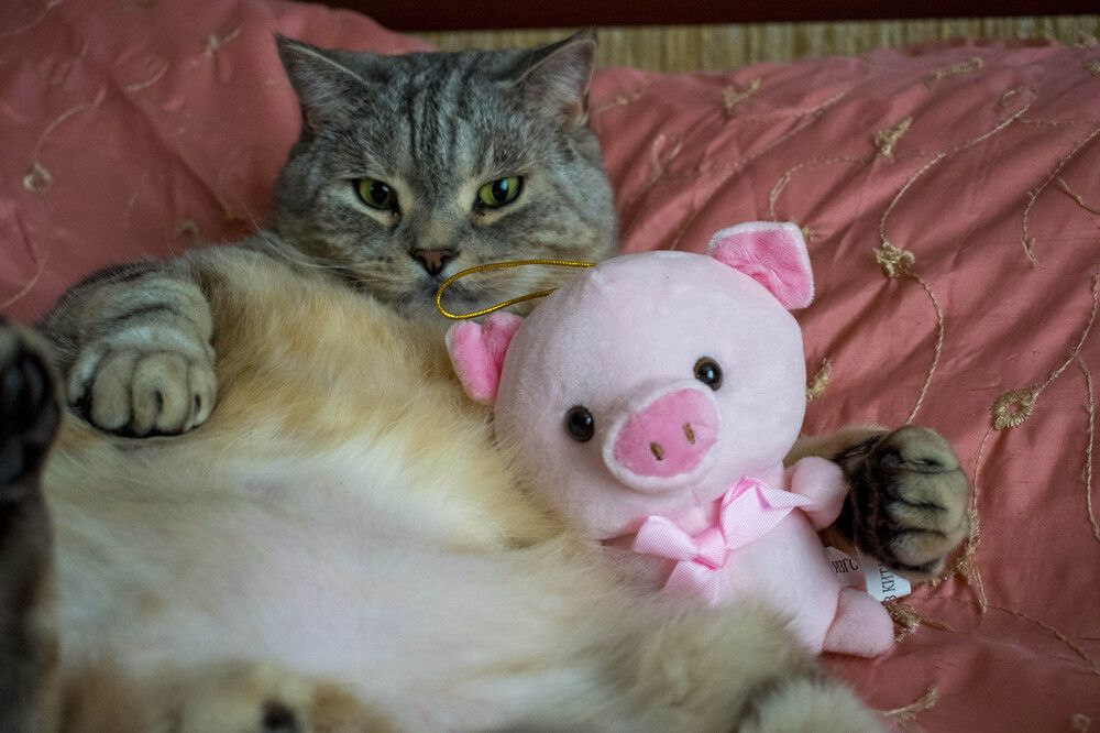 Photograph by Alexandere1