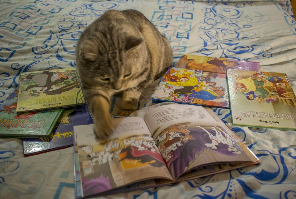 Photograph by Alexandere1