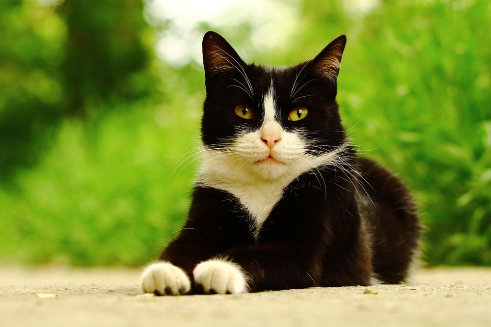 Photograph by Игорь