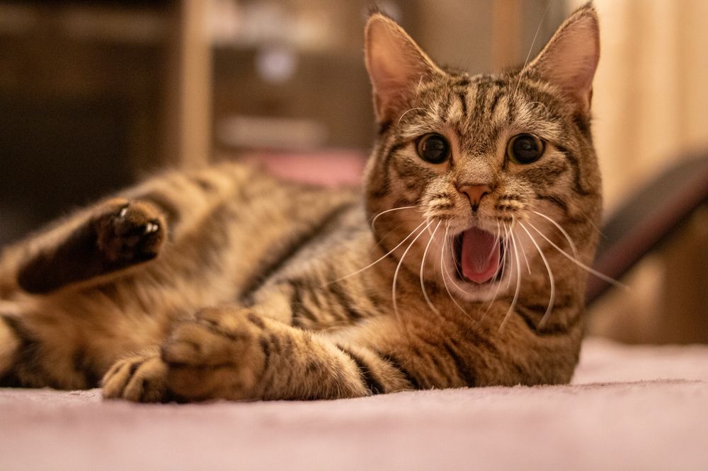 Photograph by Игорь